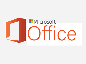 Microsoft Office License
