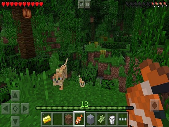 Minecraft Bedrock Edition Account